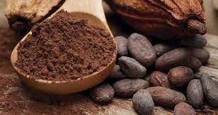 cacao granos y polvo